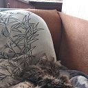  Andrew, , 49  -  9  2019   