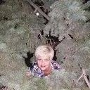 ���� �������, ����, 69 ��� - ��������� 29 ������� 2019 � ������ ������ ��������