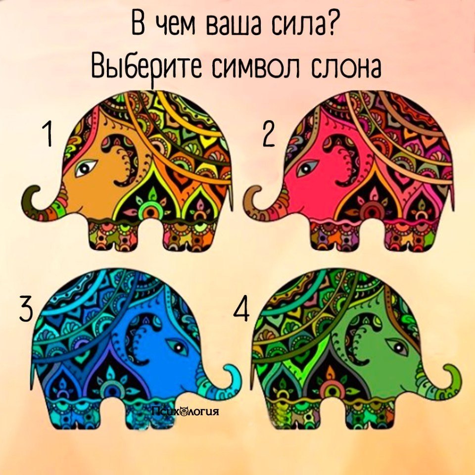    ,   .         ...