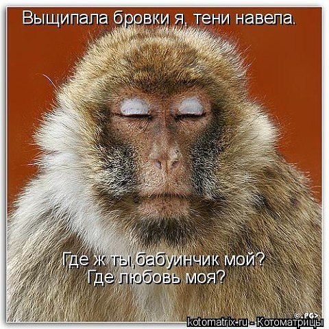 ***Victoria Viktorovna*** - 5  2019  01:56