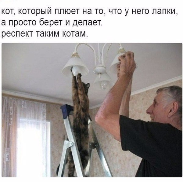    - 8  2019  03:33
