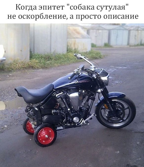   - 26  2019  05:59