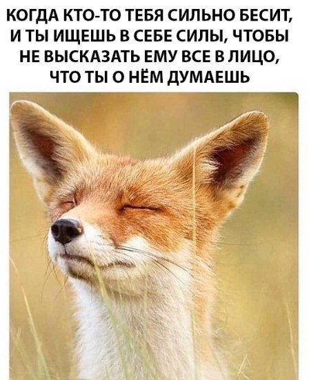 ***Victoria Viktorovna*** - 29  2019  01:58