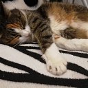 ���� ��������, �����������, 60 ��� - ��������� 31 ������� 2019 � ������ ���� ����������