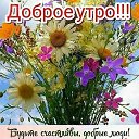 ���� �������, ���������, 73 ���� - ��������� 7 �������� 2019 � ������ ������ ��������