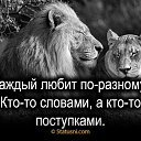 ���� ����� ***, ������� - ��������� 26 ��� 2019 � ������ ������ ��������