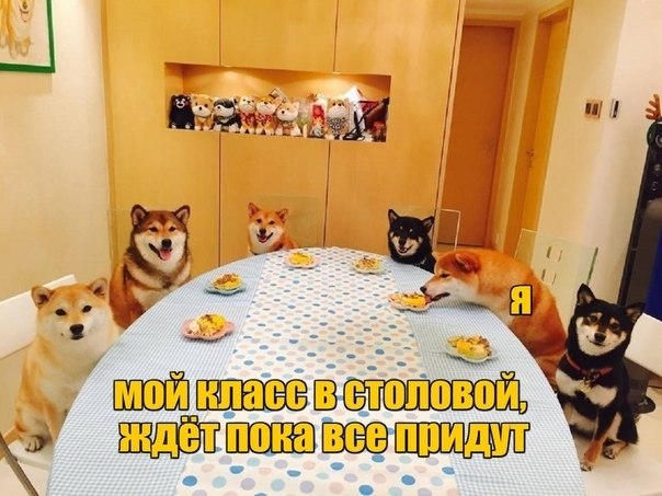 ☆   ☆ - 5  2019  03:40