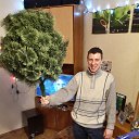 ���� ���������, �����������, 37 ��� - ��������� 11 ��� 2019 � ������ ���� ����������