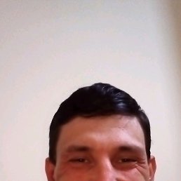 �����, ������, 36 ���