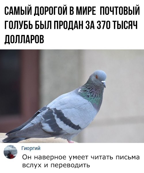 ������ �� ��� :D - 15 ���� 2019 � 18:24