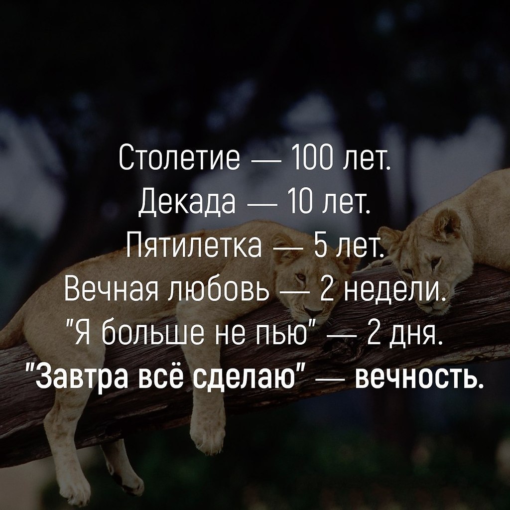   . . . - 29  2019  03:47