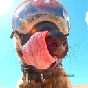 ���� ������, ������ - ��������� 7 ������ 2019