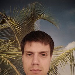, 37, 