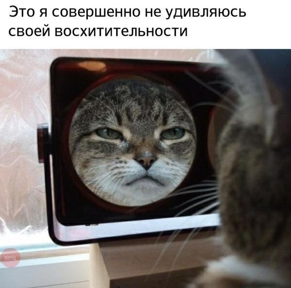    - 19  2019  19:17