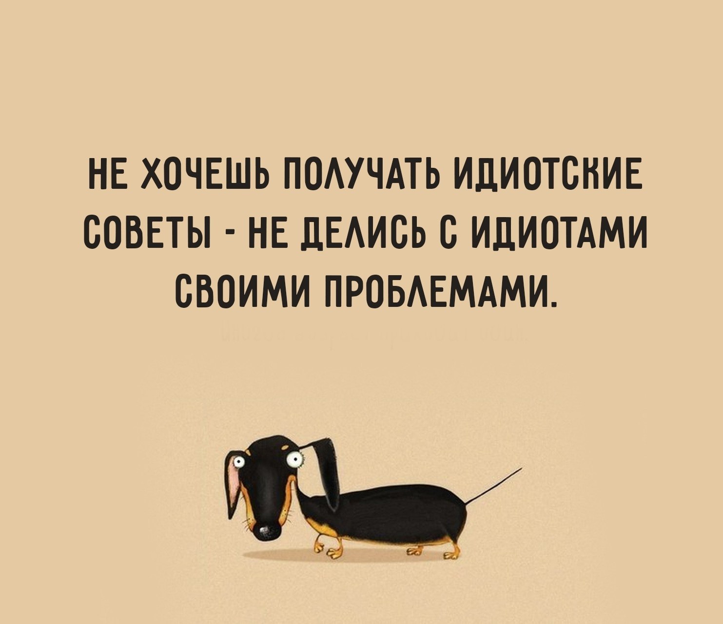  - 23  2019  21:37