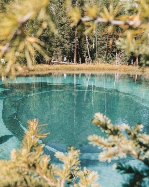 c ec a ee pa, o o - ac pa! - 8