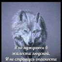 ���� �����������, ������� - ��������� 24 ���� 2019 � ������ ������ ��������