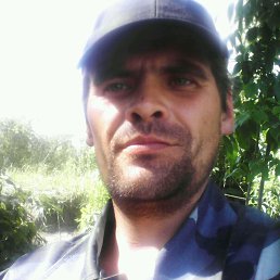 �����, ����, 43 ����