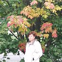 ���� �����, ���������, 59 ��� - ��������� 17 �������� 2019 � ������ ���� ����������