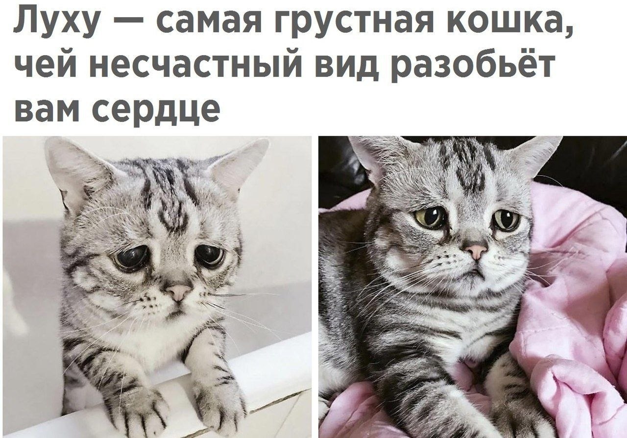  - 17  2019  19:02