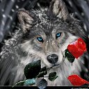 ���� ��������, ������, 53 ���� - ��������� 2 ������� 2019 � ������ ���� ����������