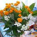 ���� �����, ����������, 52 ���� - ��������� 7 ������� 2019 � ������ ���� ����������