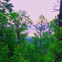 ���� �������, ������������, 59 ��� - ��������� 29 ���� 2019 � ������ ������� ������