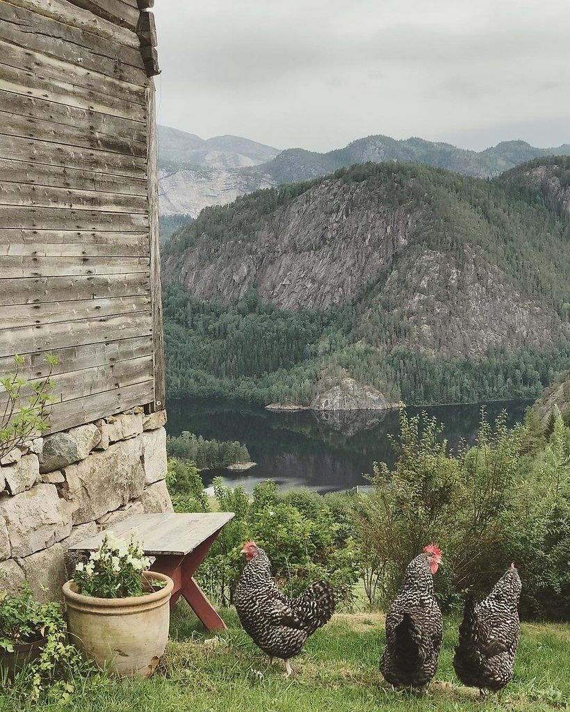 o  oe.oe  o ee  ao oe? - 9