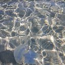 ���� Aleksey, ���������, 64 ���� - ��������� 5 ������� 2019 � ������ ���� ����������