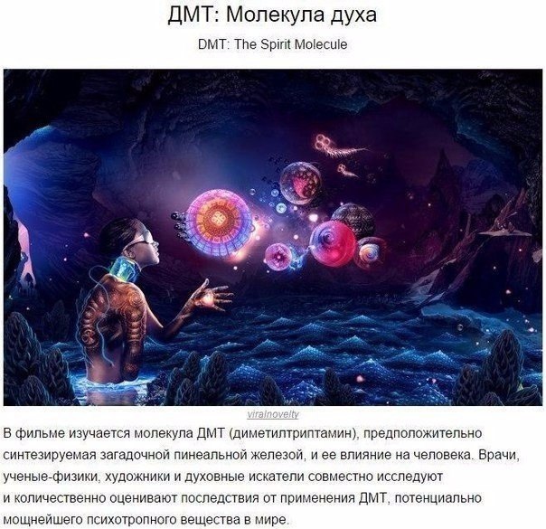    ,     - 6