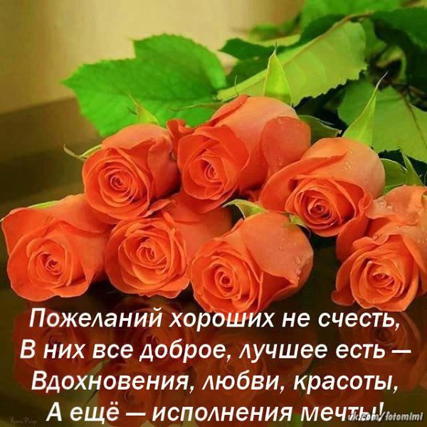   ,    . - 15  2019  21:40 - 2