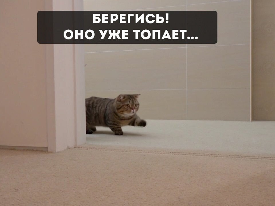   - 2  2019  03:43