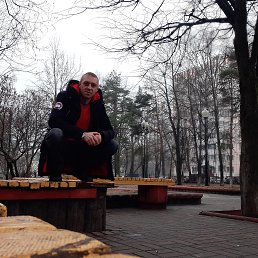 �����, ������, 41 ���