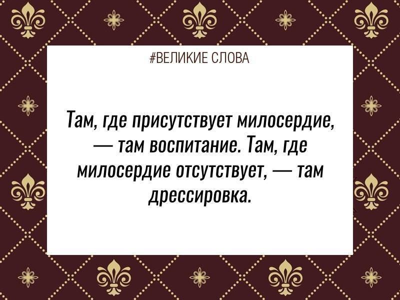   | ,    - 3  2019  03:33