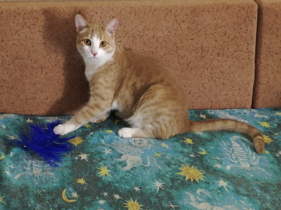 #_.     .  , ,    , ... - 5