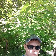 ����, 28 ���, ����������