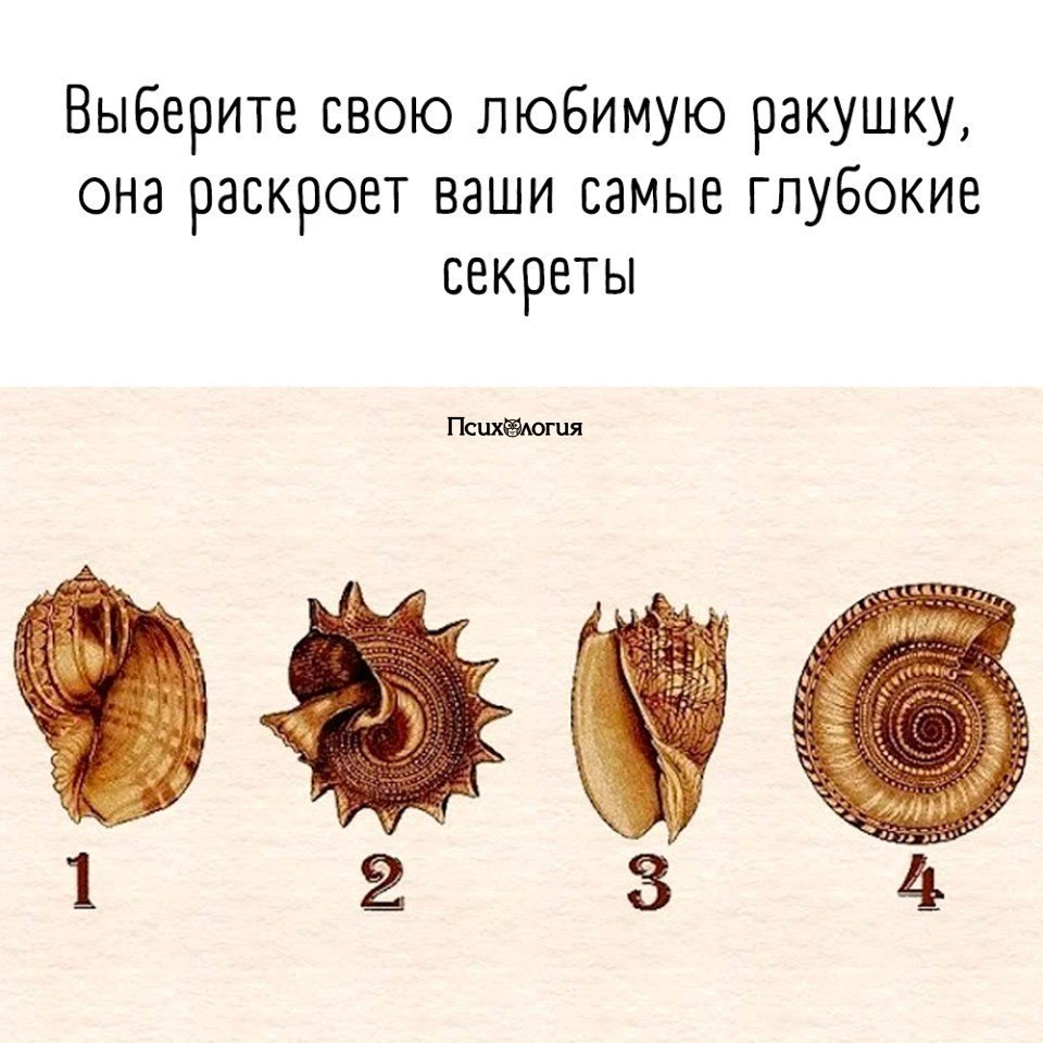    ,   .         ...