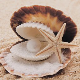 �����, ������, 36 ���