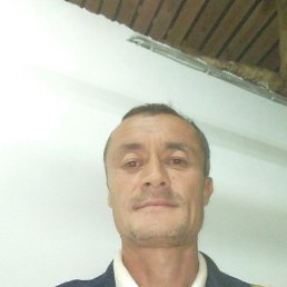 ����, ��������, 48 ���