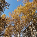  , , 50  -  9  2019    2019