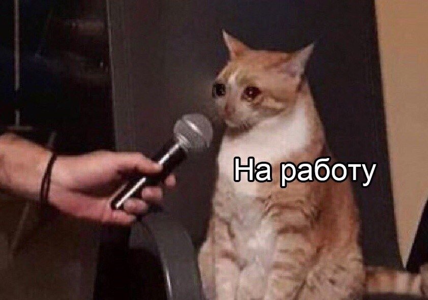 -  e x e? -