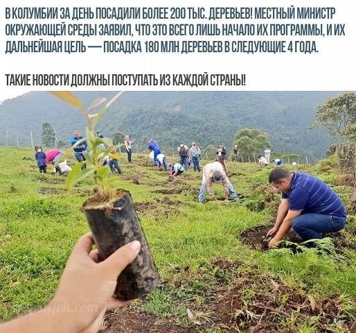        ..