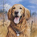 ���� Lara, ������� - ��������� 20 �������� 2019 � ������ �������