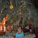  , -, 49  -  18  2019    