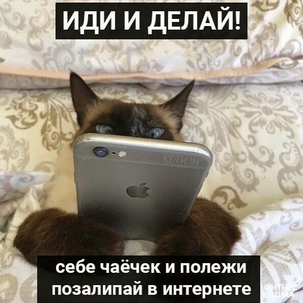 o���� ���� �o������� �a ���o���� ���� - 4