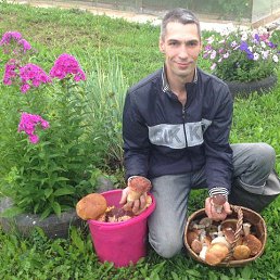 ���� ������, ���������, 47 ��� - ��������� 22 ������� 2019