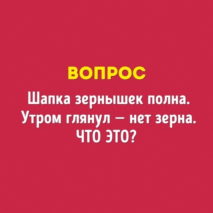  ,  ,   ,     - 6