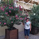 ���� ���������, �������, 42 ���� - ��������� 7 ������� 2019 � ������ ���� ����������