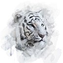 ���� ������, �������, 55 ��� - ��������� 23 ��� 2019