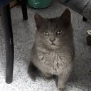 ���� �����, ������ - ��������� 14 ��� 2019 � ������ ���� ����������